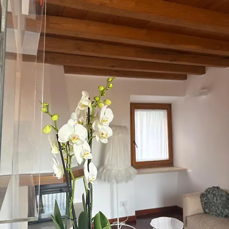 Prázdninový dům La Giraffa Bianca Vallerano